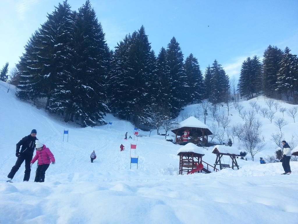 Pensiunea Eladi Borşa Exteriör bild