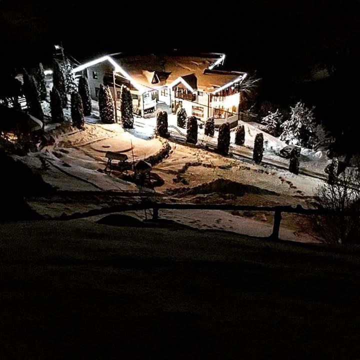 Pensiunea Eladi Borşa Exteriör bild