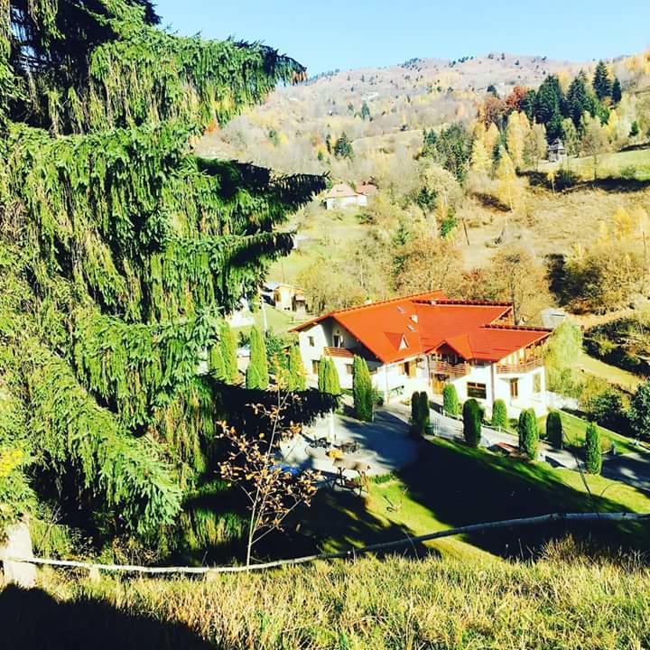 Pensiunea Eladi Borşa Exteriör bild