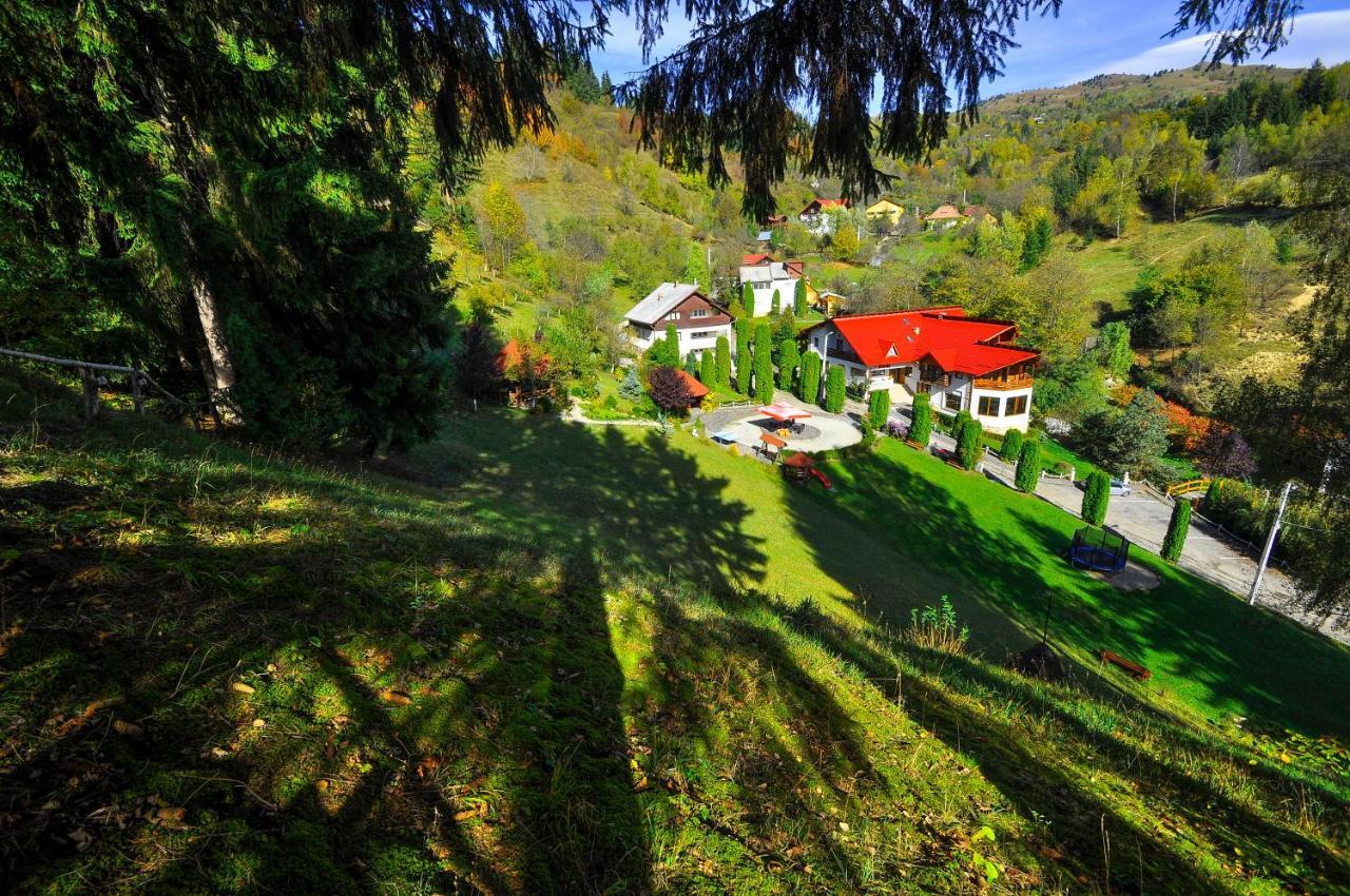 Pensiunea Eladi Borşa Exteriör bild