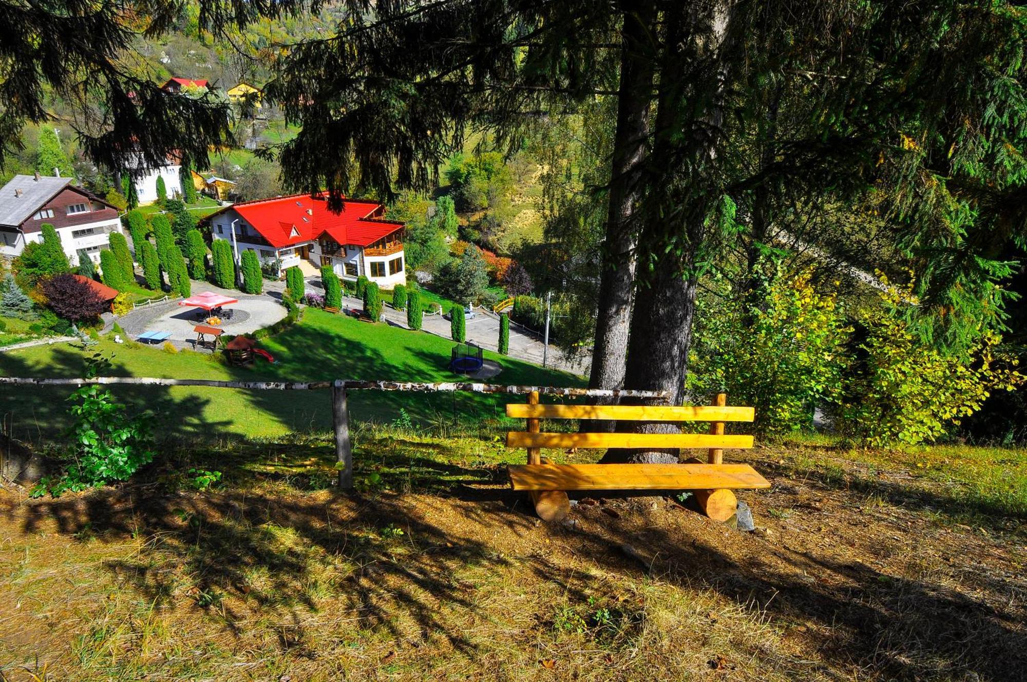 Pensiunea Eladi Borşa Exteriör bild