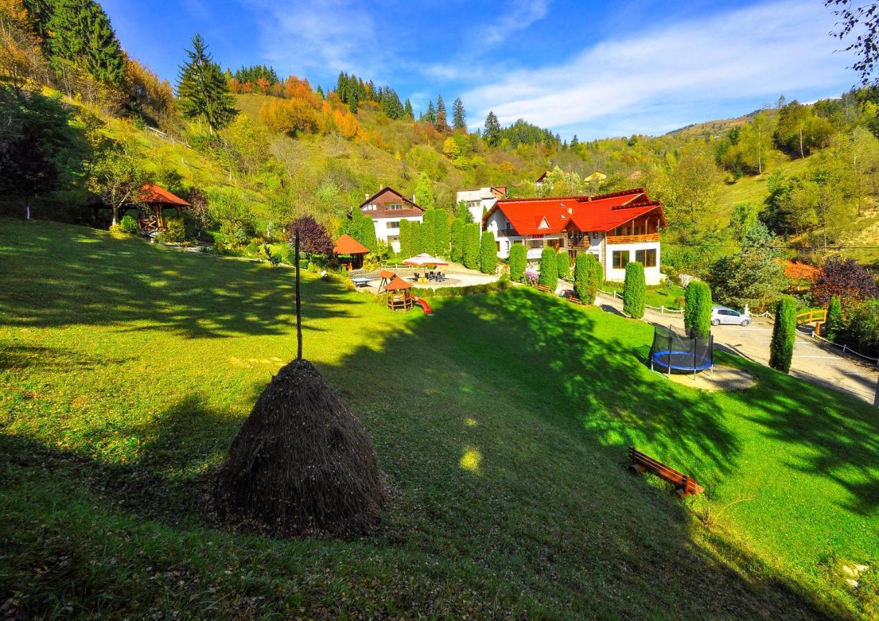 Pensiunea Eladi Borşa Exteriör bild